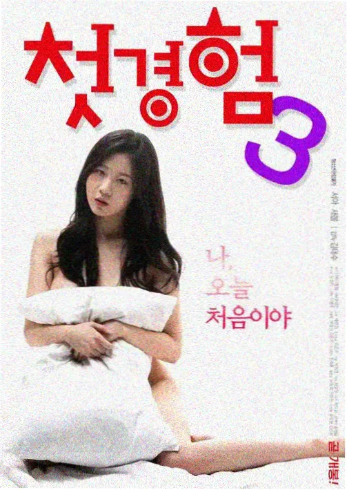 韩国电视剧免费 继承者们